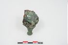 Foto von Bronzephalere (NHMW-PRAE-025544a)